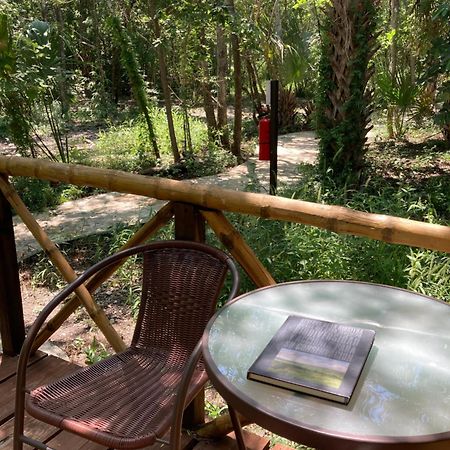 Selva Teenek Eco-Park Ciudad Valles Luaran gambar