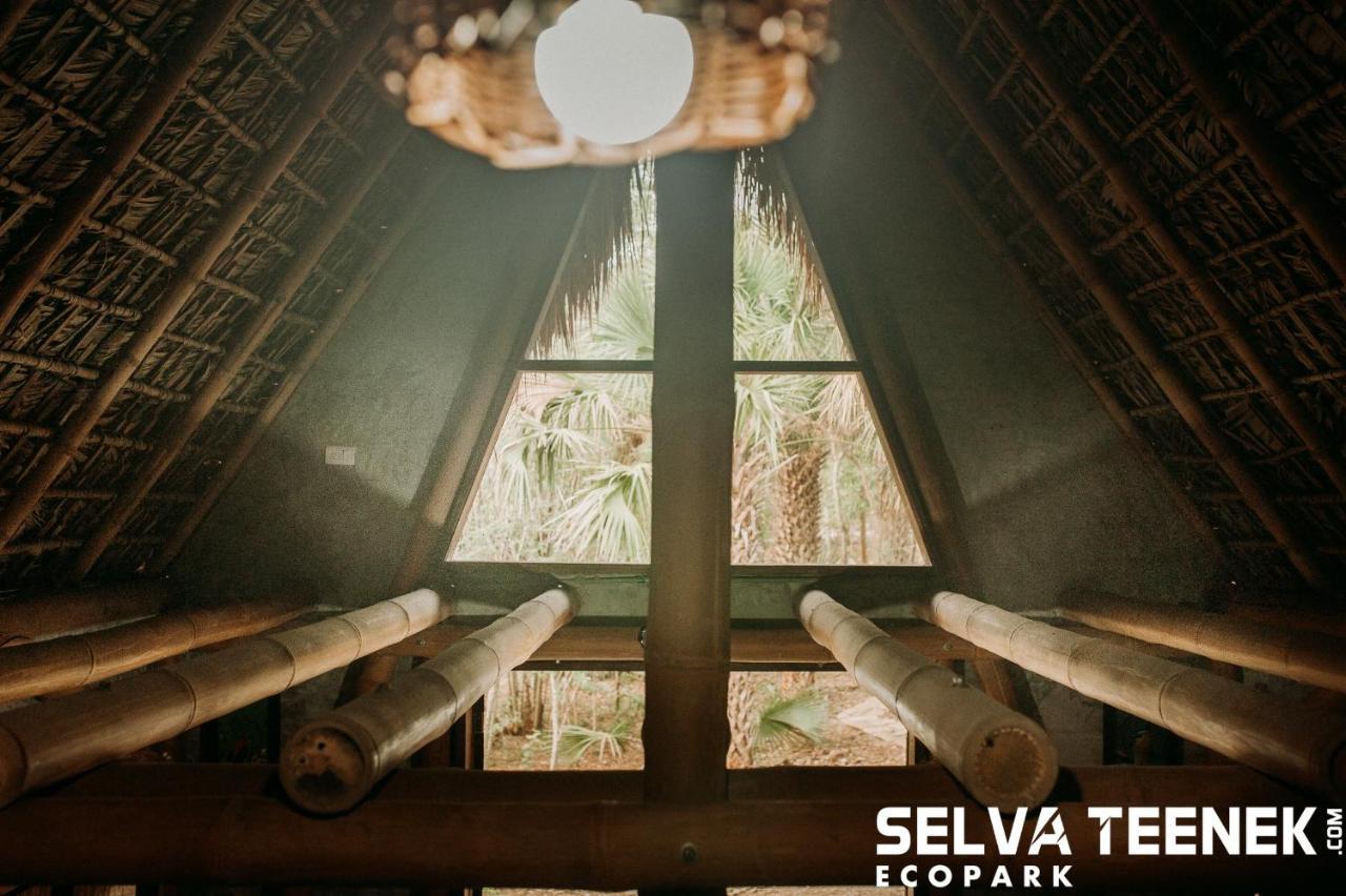 Selva Teenek Eco-Park Ciudad Valles Luaran gambar