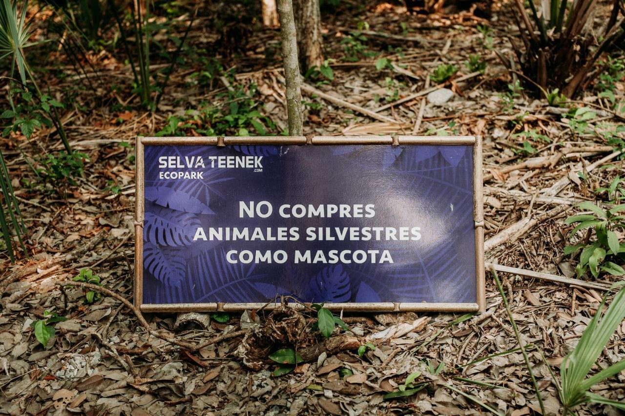 Selva Teenek Eco-Park Ciudad Valles Luaran gambar