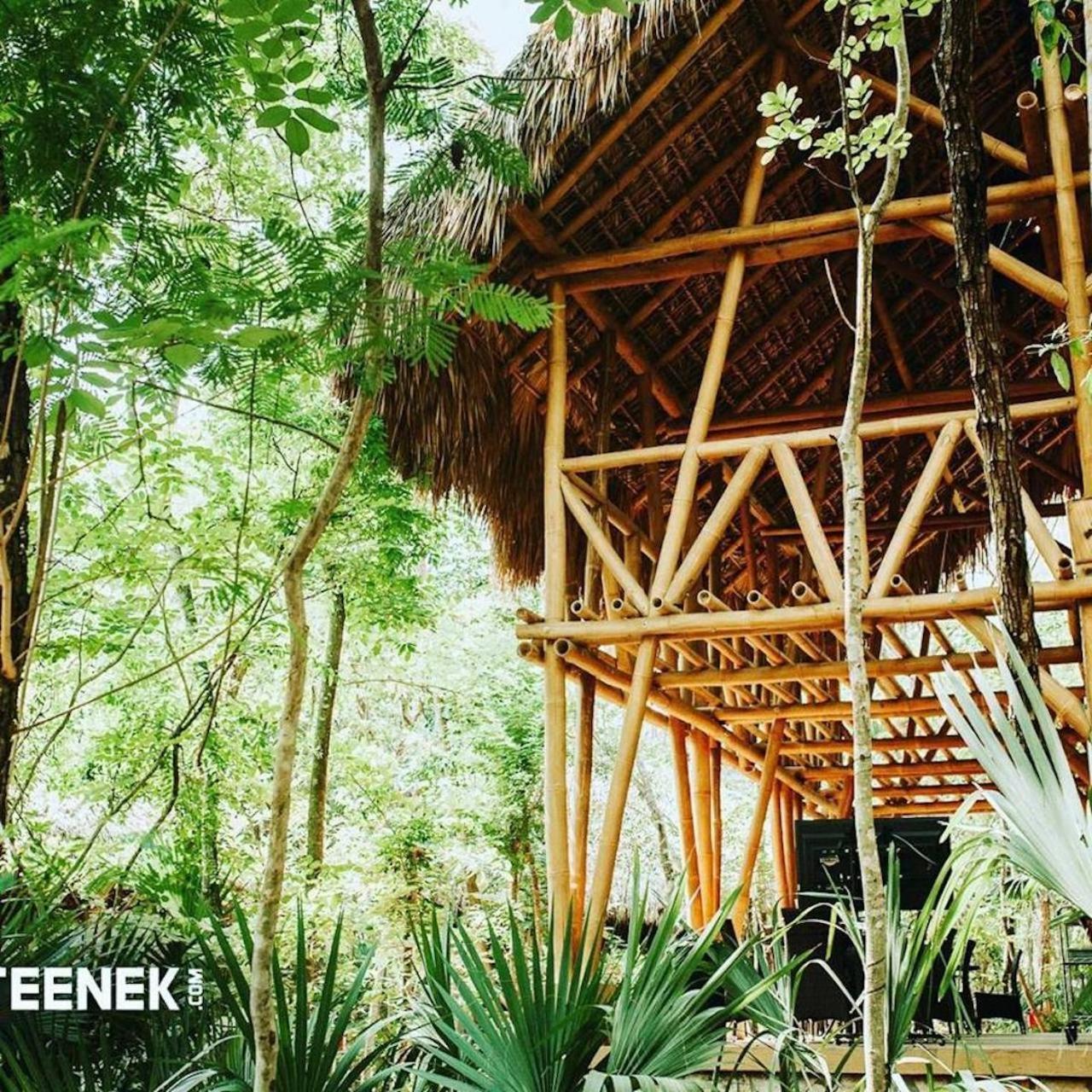 Selva Teenek Eco-Park Ciudad Valles Luaran gambar