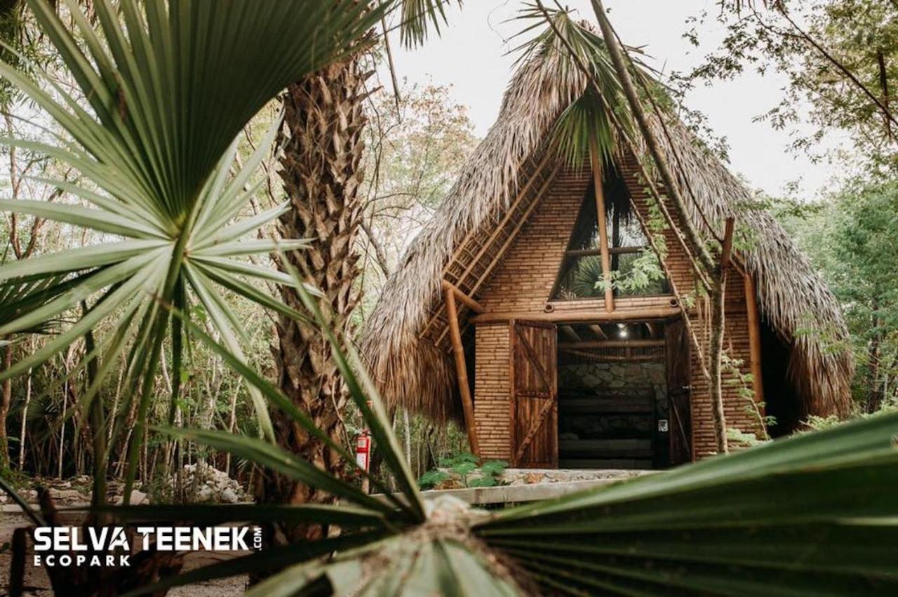 Selva Teenek Eco-Park Ciudad Valles Luaran gambar
