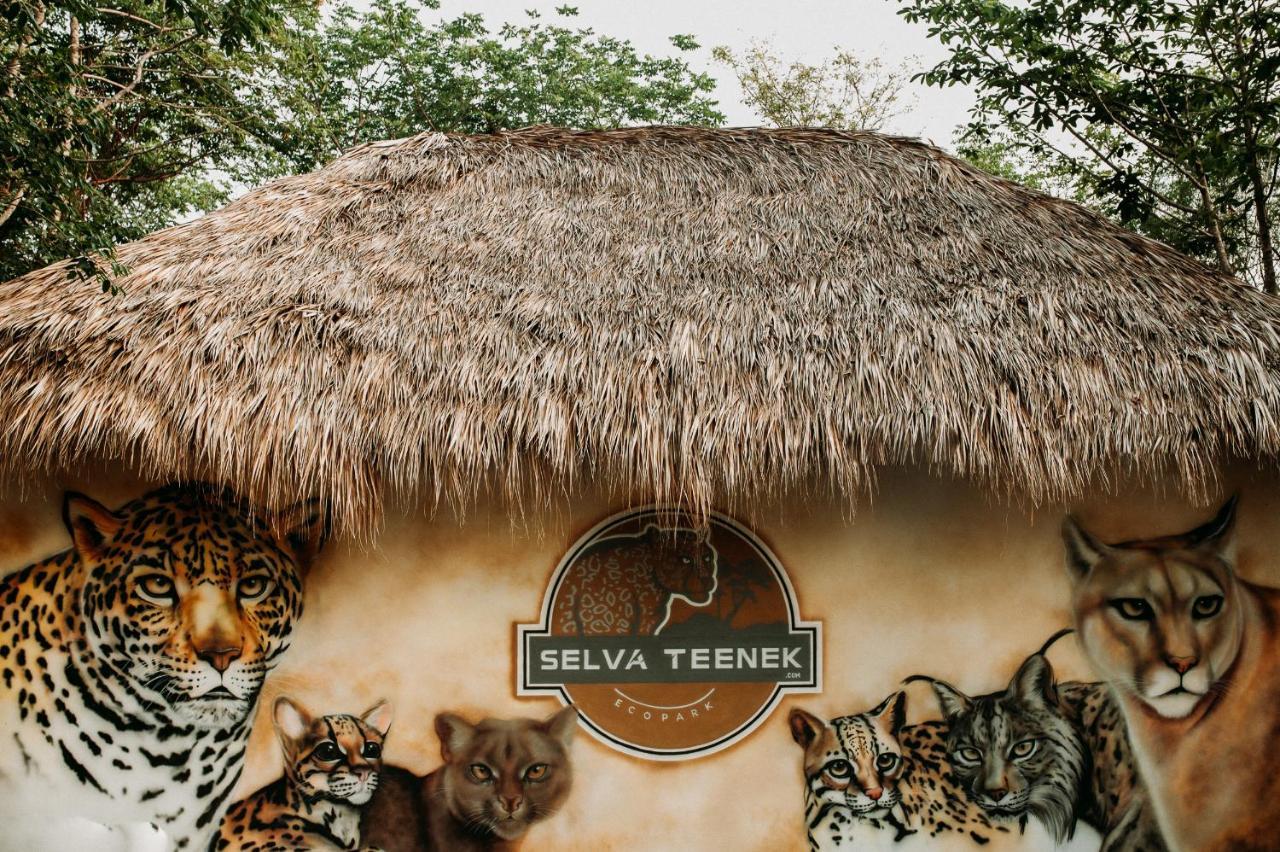 Selva Teenek Eco-Park Ciudad Valles Luaran gambar